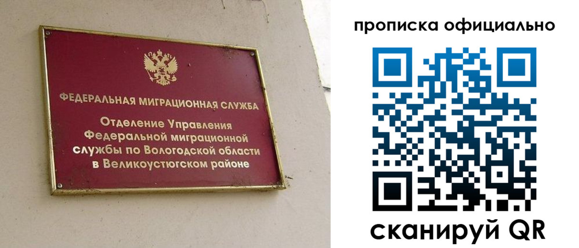 найти адрес прописки в Кольчугино